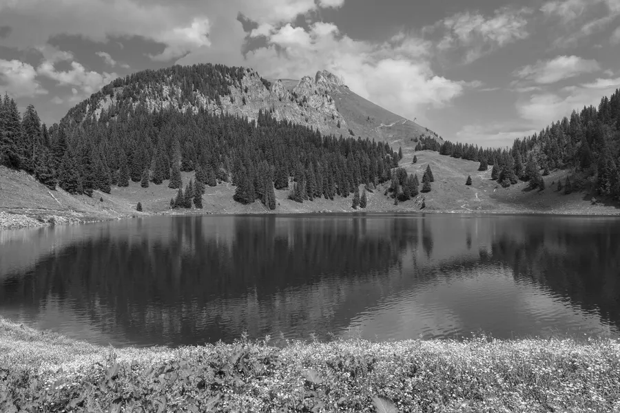 Se baigner dans un lac : sécurité, réglementation et meilleurs spots en France